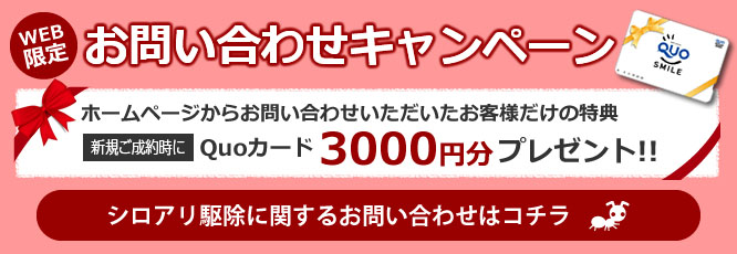 お問い合わせキャンペーン