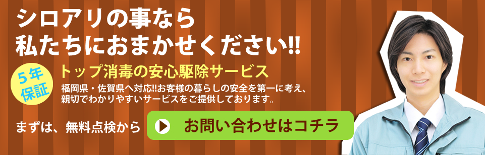シロアリの事なら私たちにおまかせください！